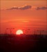 sunset_over_the_city_by_svitakovaeva-d3d41gr